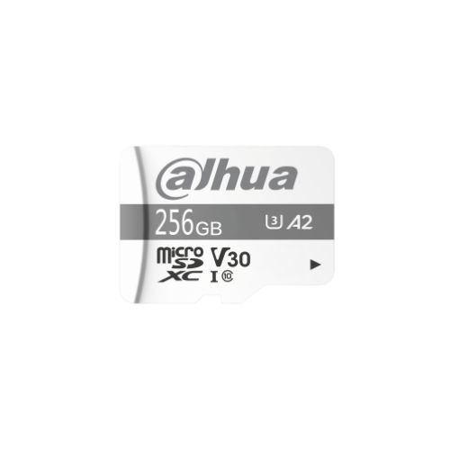 [MSD-256] TF-P100-256G