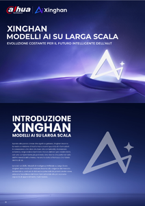 Brochure Xinghan Dahua