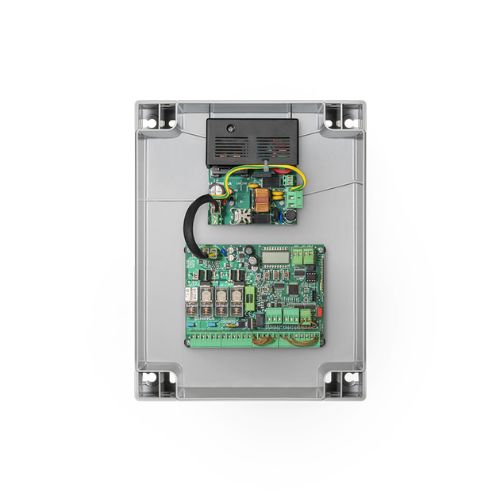 BRAINY24 PLUS
