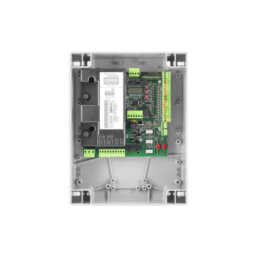 BRAINY PLUS